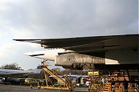 IMG_4146-01.jpg