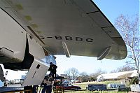 IMG_3681-01.jpg