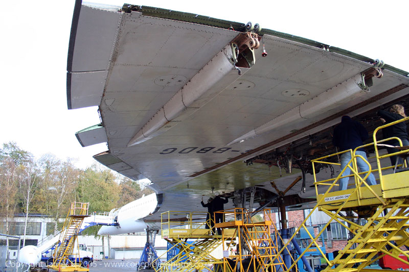 IMG_8546-01.jpg