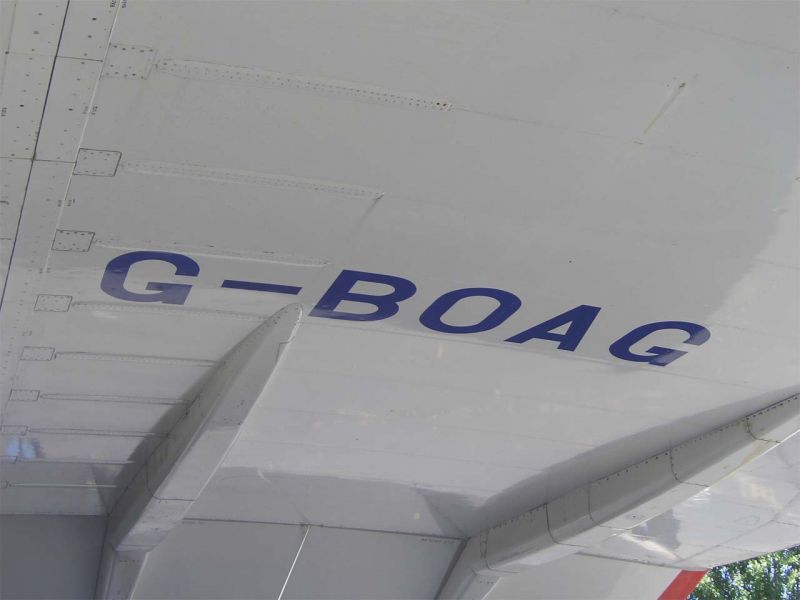 CIMG4676-01.jpg