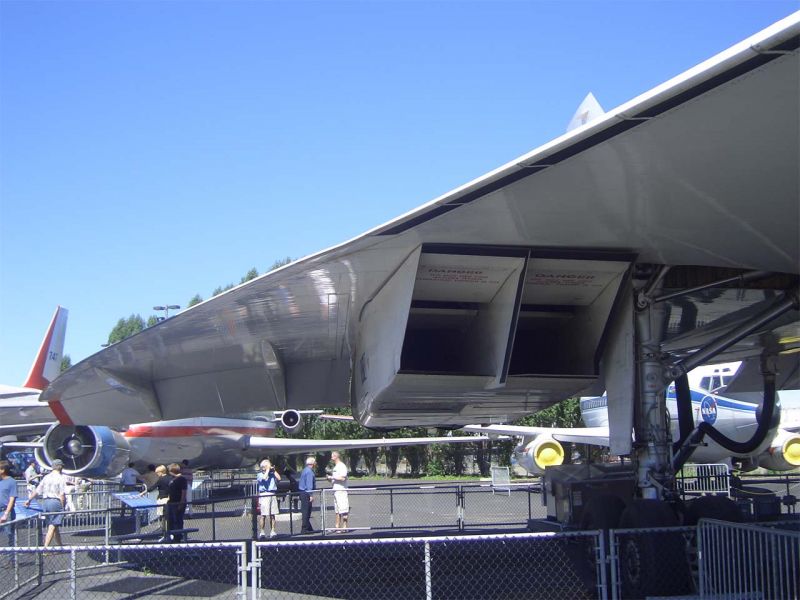 CIMG4698-01.jpg