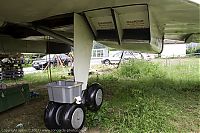 IMG_6415-01.jpg