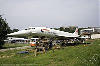 IMG_6425-01.jpg