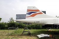 IMG_6431-01.jpg